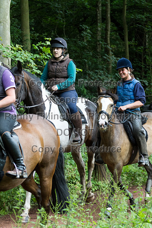 Grove_and_Rufford_Thoresby_9th_July_2016_086