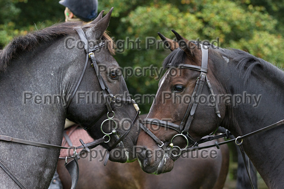 Grove_and_Rufford_Ride_Broomhill_Grange_20th_Sept_2014.025