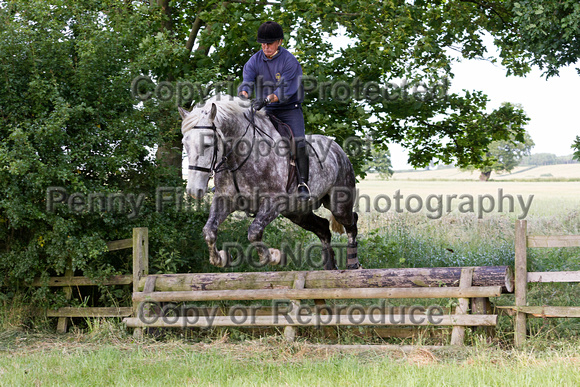 Grove_and_Rufford_Ride_Leyfields_7th_July_2015_172