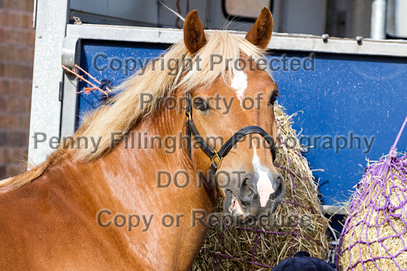 Grove_and_Rufford_Ride_Leyfields_7th_July_2015_001