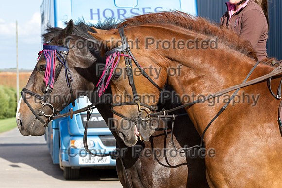 Grove_and_Rufford_Ride_Leyfields_7th_July_2015_006