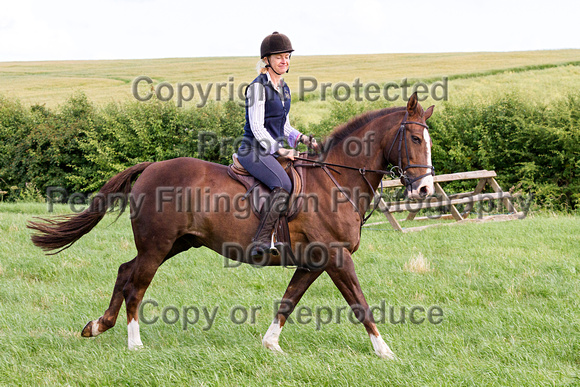 Grove_and_Rufford_Ride_Leyfields_7th_July_2015_019