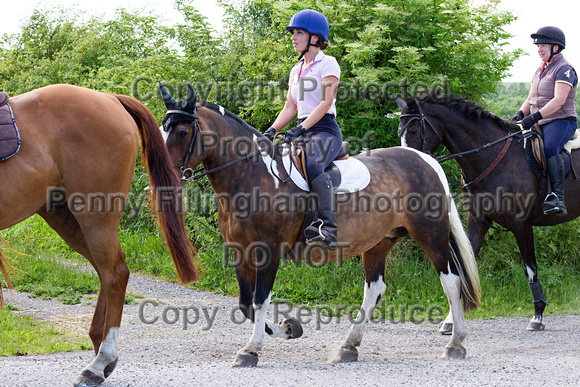 Grove_and_Rufford_Ride_Leyfields_7th_July_2015_056
