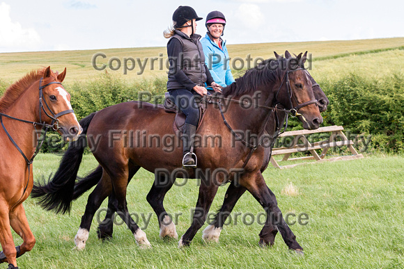 Grove_and_Rufford_Ride_Leyfields_7th_July_2015_020