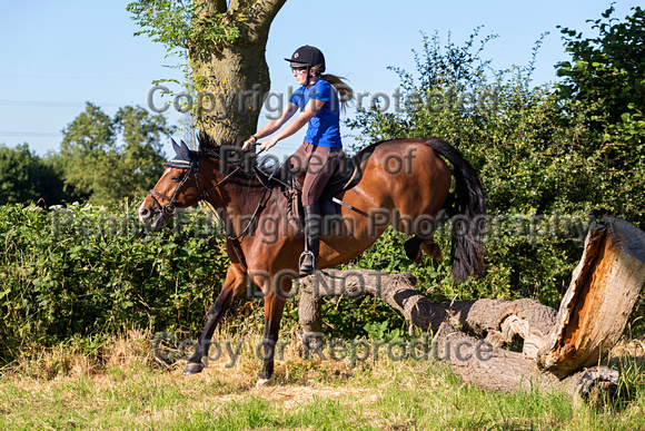 Grove_and_Rufford_Leyfields_3rd_July_2018_053