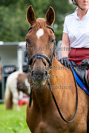 Grove_and_Rufford_Ride_9th_July_2019_011