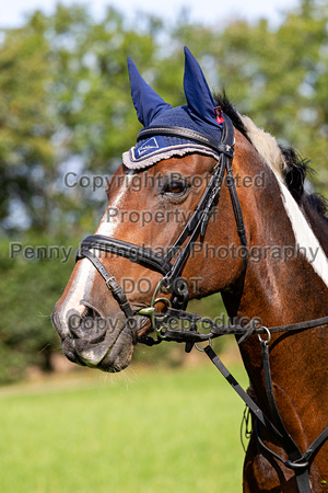 Grove_and_Rufford_Ride_Eakring_12th_Sept_2020_011