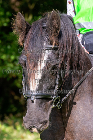 Grove_and_Rufford_Ride_Hexgreave_19th_Sept_2020_283