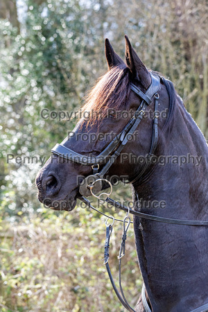 Grove_and_Rufford_Ride_Blyth_13th_April_2021_100