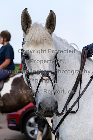 Grove_and_Rufford_Ride_Blyth_16th_July_2019_019