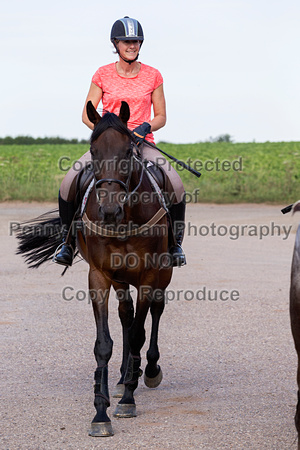 Grove_and_Rufford_Ride_Blyth_16th_July_2019_014