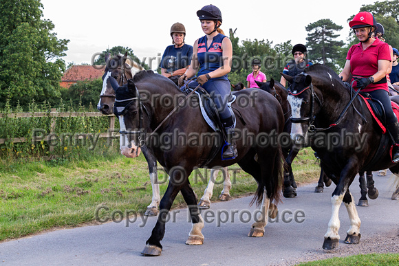 Grove_and_Rufford_Ride_Blyth_16th_July_2019_132