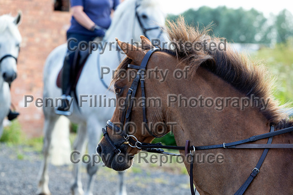 Grove_and_Rufford_Ride_Blyth_16th_July_2019_003