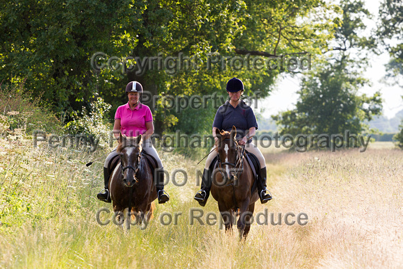 Grove_and_Rufford_Ride_Lower_Hexgreave_1st_July_2014.126