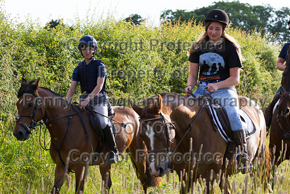 Grove_and_Rufford_Ride_Lower_Hexgreave_1st_July_2014.075