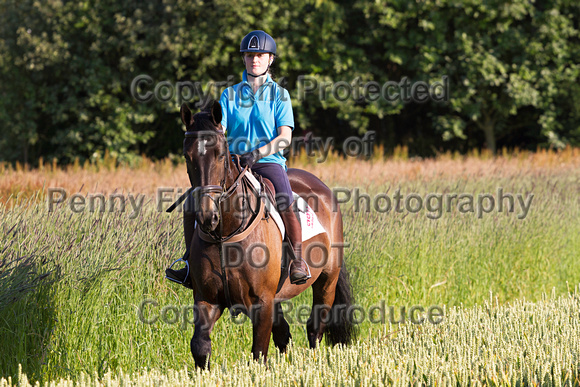 Grove_and_Rufford_Ride_Lower_Hexgreave_1st_July_2014.141