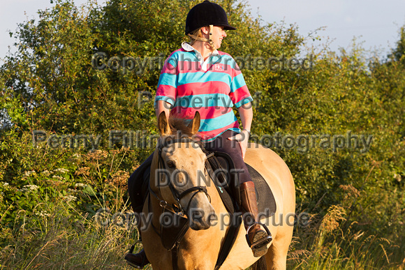 Grove_and_Rufford_Ride_Lower_Hexgreave_1st_July_2014.253