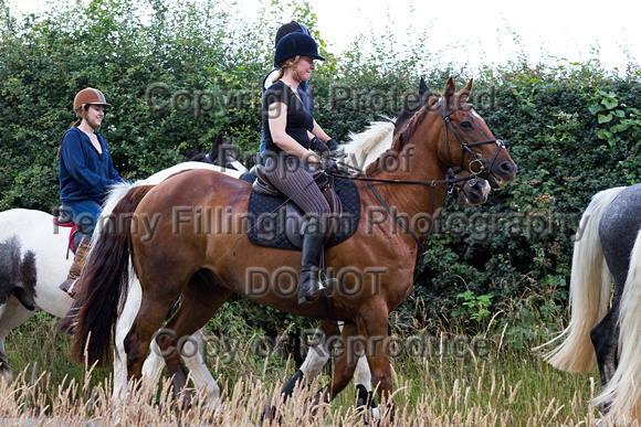 Grove_and_Rufford_Ride_Lower_Hexgreave_1st_July_2014.039