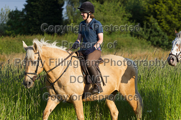 Grove_and_Rufford_Ride_Lower_Hexgreave_1st_July_2014.182