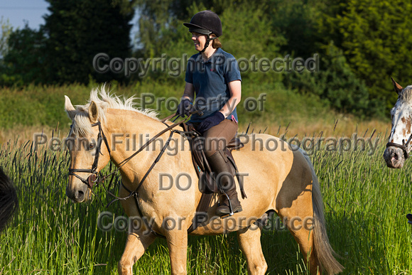 Grove_and_Rufford_Ride_Lower_Hexgreave_1st_July_2014.181