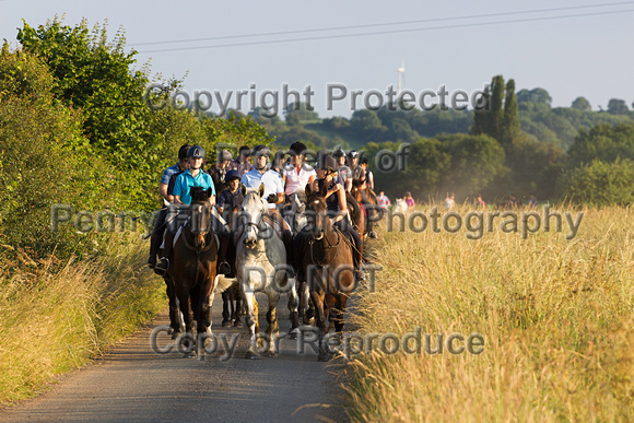 Grove_and_Rufford_Ride_Lower_Hexgreave_1st_July_2014.215
