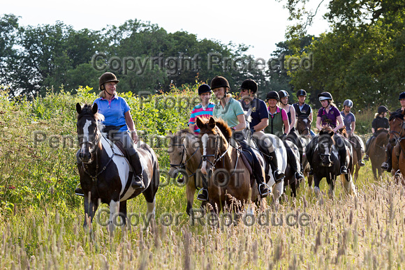 Grove_and_Rufford_Ride_Lower_Hexgreave_1st_July_2014.078