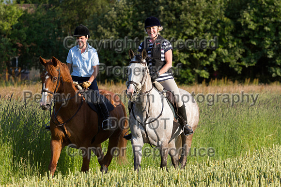 Grove_and_Rufford_Ride_Lower_Hexgreave_1st_July_2014.202