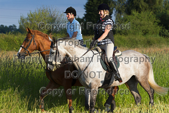Grove_and_Rufford_Ride_Lower_Hexgreave_1st_July_2014.205