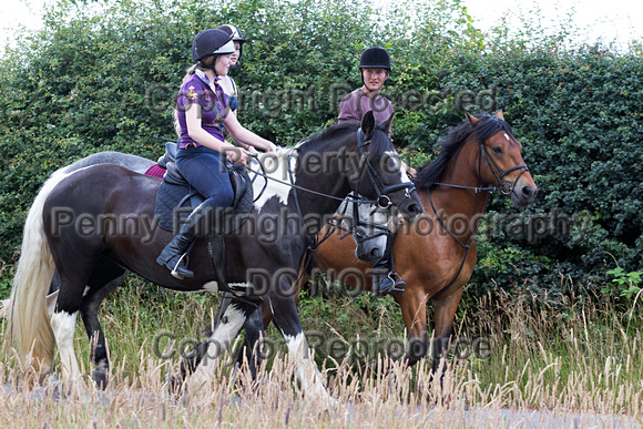 Grove_and_Rufford_Ride_Lower_Hexgreave_1st_July_2014.037
