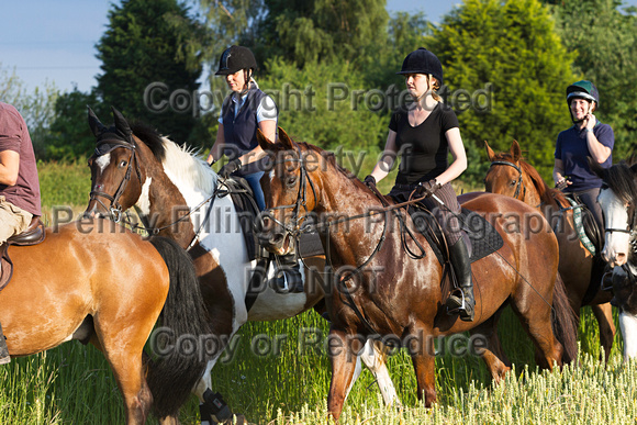 Grove_and_Rufford_Ride_Lower_Hexgreave_1st_July_2014.166