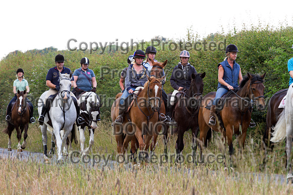 Grove_and_Rufford_Ride_Lower_Hexgreave_1st_July_2014.019