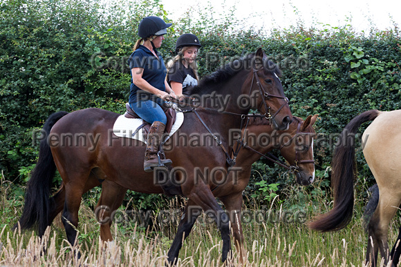 Grove_and_Rufford_Ride_Lower_Hexgreave_1st_July_2014.036