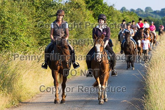 Grove_and_Rufford_Ride_Lower_Hexgreave_1st_July_2014.258