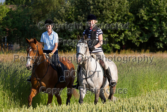 Grove_and_Rufford_Ride_Lower_Hexgreave_1st_July_2014.201