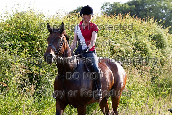 Grove_and_Rufford_Ride_Lower_Hexgreave_1st_July_2014.120