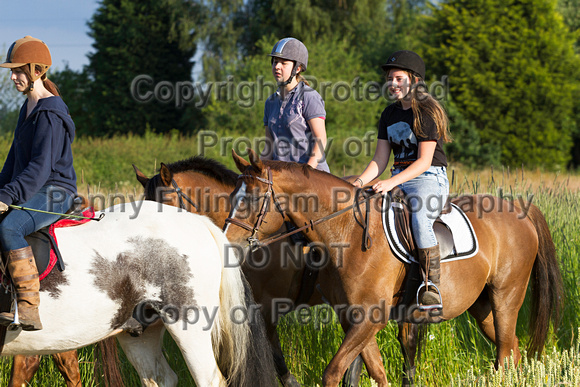 Grove_and_Rufford_Ride_Lower_Hexgreave_1st_July_2014.169