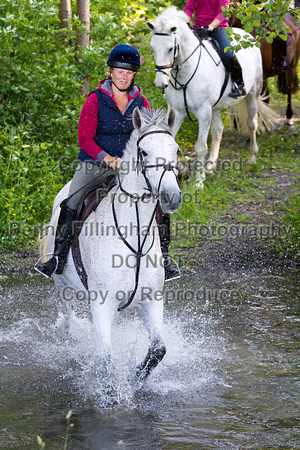 Grove_and_Rufford_Ride_Lower_Hexgreave_9th_June_2015_197