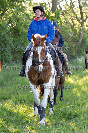 Grove_and_Rufford_Ride_Lower_Hexgreave_9th_June_2015_127