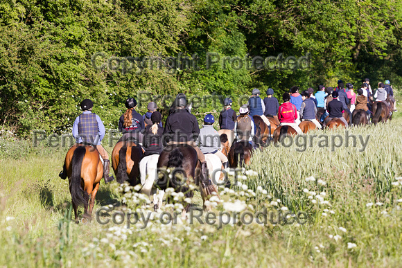 Grove_and_Rufford_Ride_Lower_Hexgreave_9th_June_2015_080