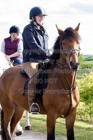 Grove_and_Rufford_Ride_Lower_Hexgreave_9th_June_2015_019