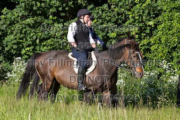Grove_and_Rufford_Ride_Lower_Hexgreave_9th_June_2015_052