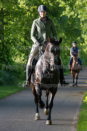 Grove_and_Rufford_Ride_Lower_Hexgreave_9th_June_2015_500