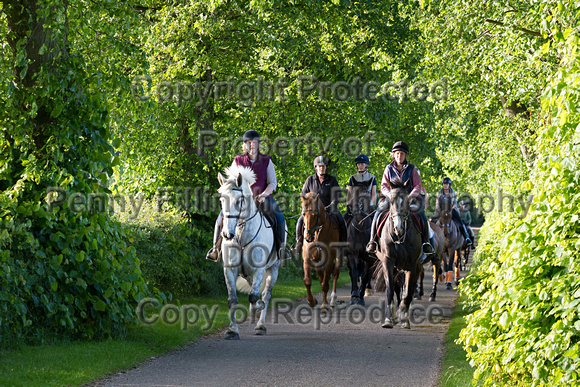 Grove_and_Rufford_Ride_Lower_Hexgreave_9th_June_2015_495