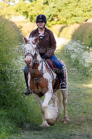 Grove_and_Rufford_Ride_Lower_Hexgreave_9th_June_2015_463