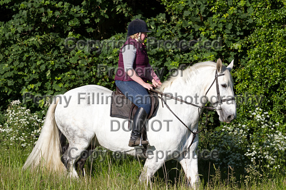 Grove_and_Rufford_Ride_Lower_Hexgreave_9th_June_2015_089