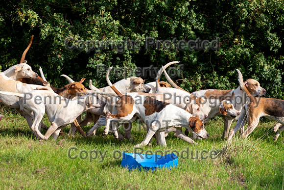 Grove_and_Rufford_Childrens_Meet_Ride_Hexgreave_31st_Aug _2019_019