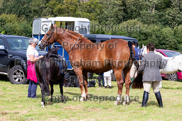 Grove_and_Rufford_Childrens_Meet_Ride_Hexgreave_31st_Aug _2019_669