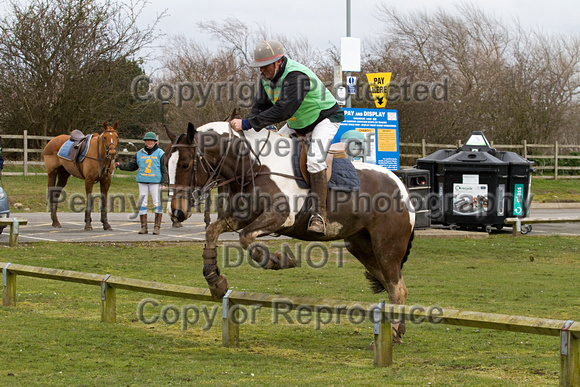 Vale_of_York_Polo_Cleethorpes_2nd_March_2014.168