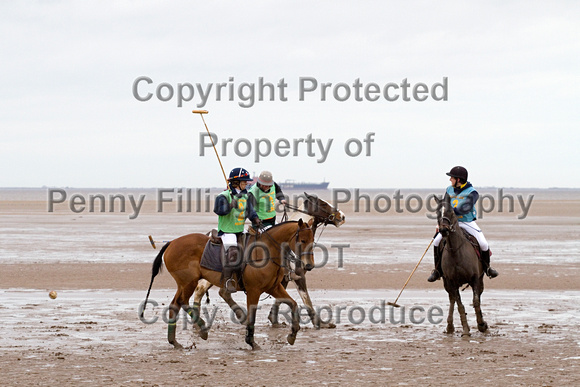 Vale_of_York_Polo_Cleethorpes_2nd_March_2014.053