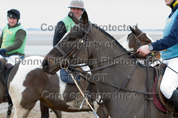 Vale_of_York_Polo_Cleethorpes_2nd_March_2014.087